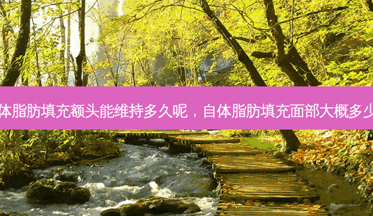 自体脂肪填充额头能维持多久呢,自体脂肪填充面部大概多少钱-第1张图片-容颜志 - 专注变美资讯 自体脂肪填充额头能维持多久呢,自体脂肪填充面部大概多少钱-第1张图片-容颜志 - 专注变美资讯