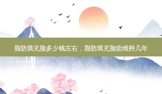 脂肪填充脸多少钱左右,脂肪填充脸能维持几年-第1张图片-容颜志 - 专注变美资讯 脂肪填充脸多少钱左右,脂肪填充脸能维持几年-第1张图片-容颜志 - 专注变美资讯