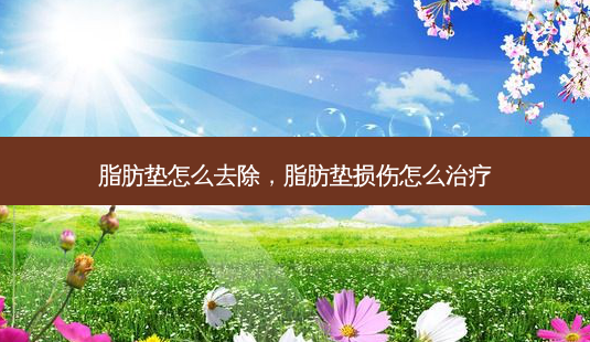 脂肪垫怎么去除,脂肪垫损伤怎么治疗-第1张图片-容颜志 - 专注变美资讯 脂肪垫怎么去除,脂肪垫损伤怎么治疗-第1张图片-容颜志 - 专注变美资讯