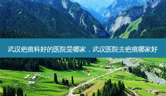 武汉疤痕科好的医院是哪家,武汉医院去疤痕哪家好-第1张图片-容颜志 - 专注变美资讯 武汉疤痕科好的医院是哪家,武汉医院去疤痕哪家好-第1张图片-容颜志 - 专注变美资讯