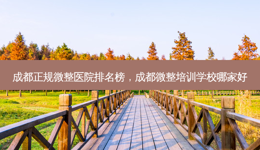 成都正规微整医院排名榜,成都微整培训学校哪家好-第1张图片-容颜志 - 专注变美资讯 成都正规微整医院排名榜,成都微整培训学校哪家好-第1张图片-容颜志 - 专注变美资讯