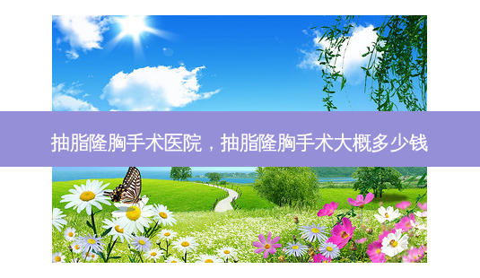 抽脂隆胸手术医院,抽脂隆胸手术大概多少钱-第1张图片-容颜志 - 专注变美资讯 抽脂隆胸手术医院,抽脂隆胸手术大概多少钱-第1张图片-容颜志 - 专注变美资讯
