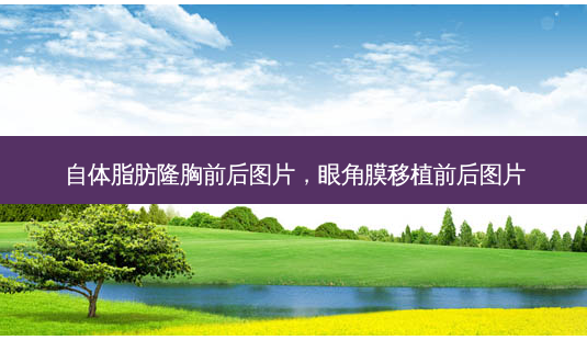 自体脂肪隆胸前后图片,眼角膜移植前后图片-第1张图片-容颜志 - 专注变美资讯 自体脂肪隆胸前后图片,眼角膜移植前后图片-第1张图片-容颜志 - 专注变美资讯