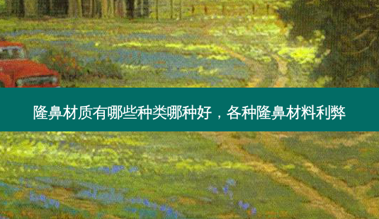 隆鼻材质有哪些种类哪种好，各种隆鼻材料利弊-第1张图片-容颜志 - 专注变美资讯