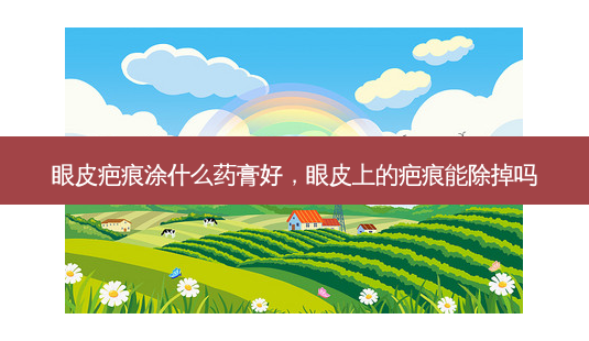 眼皮疤痕涂什么药膏好,眼皮上的疤痕能除掉吗-第1张图片-容颜志 - 专注变美资讯 眼皮疤痕涂什么药膏好,眼皮上的疤痕能除掉吗-第1张图片-容颜志 - 专注变美资讯
