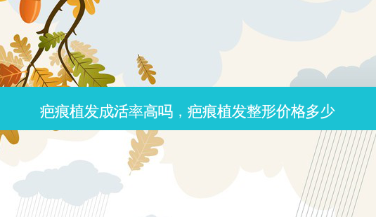 疤痕植发成活率高吗,疤痕植发整形价格多少-第1张图片-容颜志 - 专注变美资讯 疤痕植发成活率高吗,疤痕植发整形价格多少-第1张图片-容颜志 - 专注变美资讯