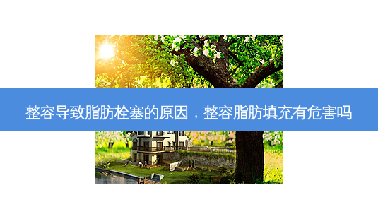 整容导致脂肪栓塞的原因,整容脂肪填充有危害吗-第1张图片-容颜志 - 专注变美资讯 整容导致脂肪栓塞的原因,整容脂肪填充有危害吗-第1张图片-容颜志 - 专注变美资讯