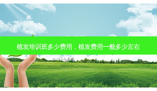 植发培训班多少费用,植发费用一般多少左右-第1张图片-容颜志 - 专注变美资讯 植发培训班多少费用,植发费用一般多少左右-第1张图片-容颜志 - 专注变美资讯