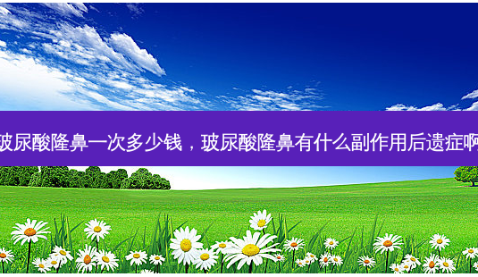 玻尿酸隆鼻一次多少钱,玻尿酸隆鼻有什么副作用后遗症啊-第1张图片-容颜志 - 专注变美资讯 玻尿酸隆鼻一次多少钱,玻尿酸隆鼻有什么副作用后遗症啊-第1张图片-容颜志 - 专注变美资讯