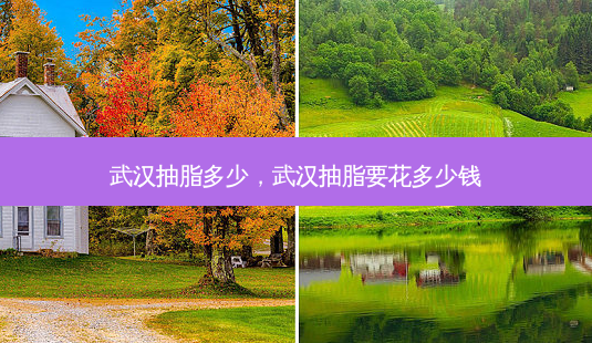 武汉抽脂多少,武汉抽脂要花多少钱-第1张图片-容颜志 - 专注变美资讯 武汉抽脂多少,武汉抽脂要花多少钱-第1张图片-容颜志 - 专注变美资讯