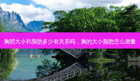 胸部大小和脂肪多少有关系吗，胸的大小脂肪怎么测量-第1张图片-容颜志 - 专注变美资讯