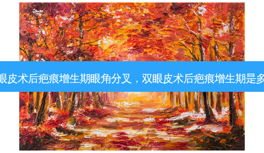 双眼皮术后疤痕增生期眼角分叉,双眼皮术后疤痕增生期是多久-第1张图片-容颜志 - 专注变美资讯 双眼皮术后疤痕增生期眼角分叉,双眼皮术后疤痕增生期是多久-第1张图片-容颜志 - 专注变美资讯