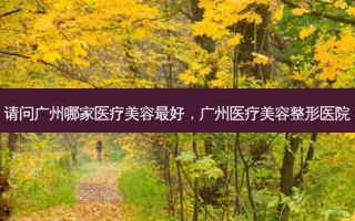 请问广州哪家医疗美容 *** ，广州医疗美容整形医院