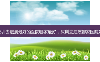 深圳去疤痕 *** 的医院哪家 *** ，深圳去疤痕哪家医院好