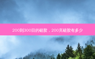 200到300目的硅胶，200克硅胶有多少