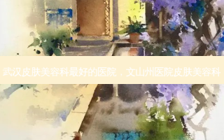武汉皮肤美容科 *** 的医院，文山州医院皮肤美容科