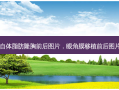 自体脂肪隆胸前后图片，眼角膜移植前后图片