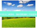 脂肪型眼袋可以自己恢复吗，脂肪型眼袋除了手术还有别的办法吗