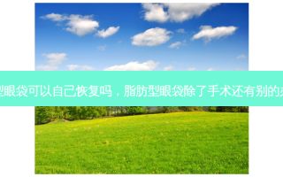 脂肪型眼袋可以自己恢复吗，脂肪型眼袋除了手术还有别的办法吗