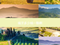 镶牙多少钱一颗啊