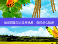 做完假体怎么 *** 视频，假体怎么 *** 