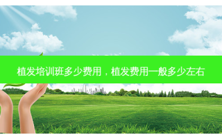 植发培训班多少费用，植发费用一般多少左右