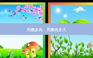 周鹏多高，周鹏有多大