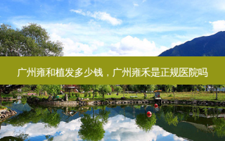 广州雍和植发多少钱，广州雍禾是正规医院吗