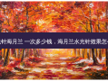 水光针海月兰 一次多少钱，海月兰水光针效果怎么样
