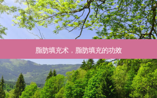 脂肪填充术，脂肪填充的功效