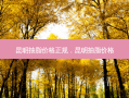 昆明抽脂价格正规，昆明抽脂价格