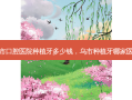 乌鲁木齐市口腔医院种植牙多少钱，乌市种植牙哪家医院比较好