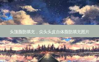 头顶脂肪填充，尖头头皮自体脂肪填充图片