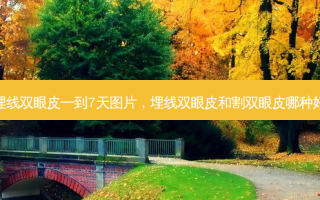埋线双眼皮一到7天图片，埋线双眼皮和割双眼皮哪种好