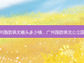 广州脂肪填充额头多少钱，广州脂肪填充公立医院