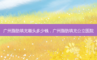广州脂肪填充额头多少钱，广州脂肪填充公立医院