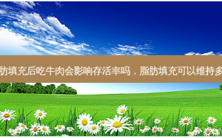 脂肪填充后吃牛肉会影响 *** 吗，脂肪填充可以维持多久