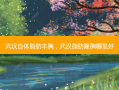 武汉自体脂肪丰胸，武汉脂肪隆胸哪里好