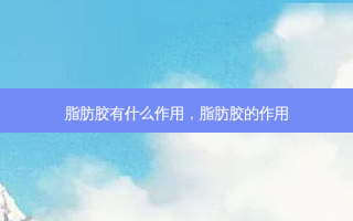 脂肪胶有什么作用，脂肪胶的作用