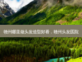 赣州哪里做头发造型好看，赣州头发医院