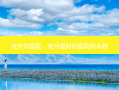 沧州市医院，沧州 *** 的医院排名榜