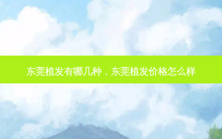 东莞植发有哪几种，东莞植发价格怎么样