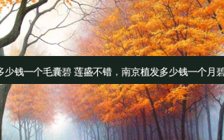 南京植发多少钱一个毛囊碧 莲盛不错，南京植发多少钱一个月碧 莲盛地址